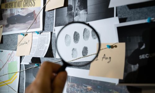 Profundiza en el estudio de la criminología